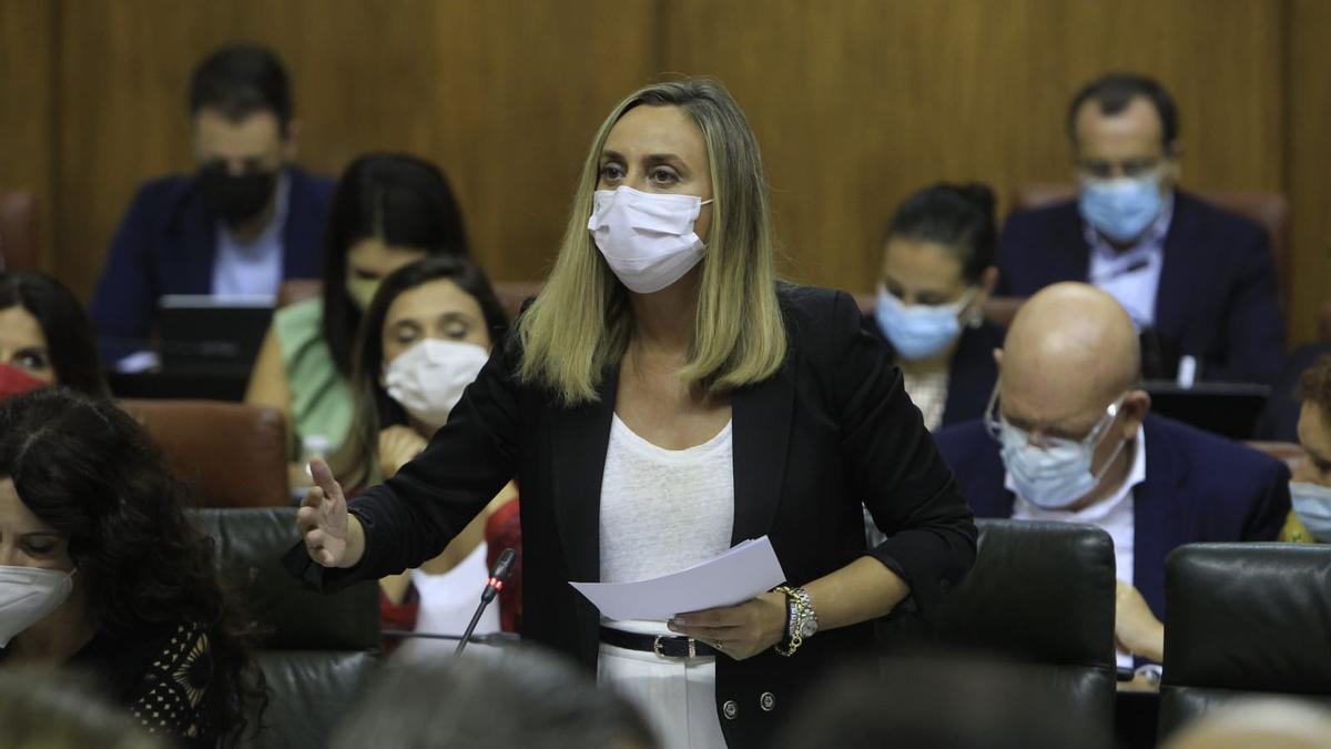 Marifrán Carazo, en su intervención en el Pleno del Parlamento.