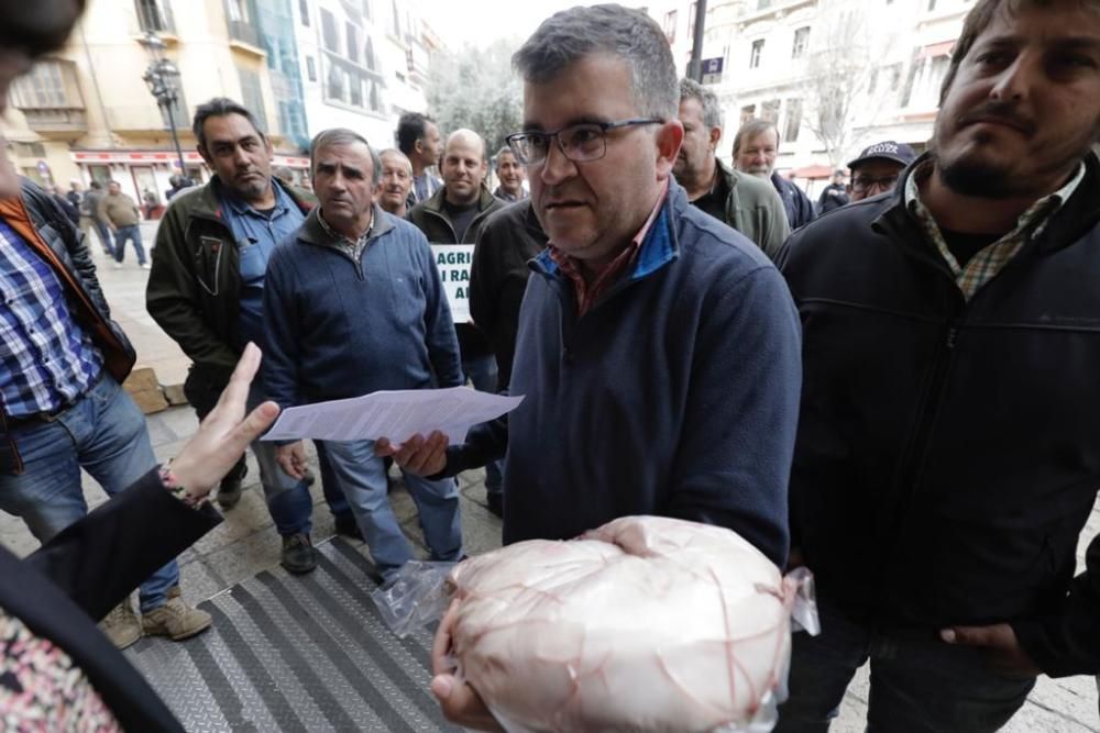 Una porcella para el alcalde