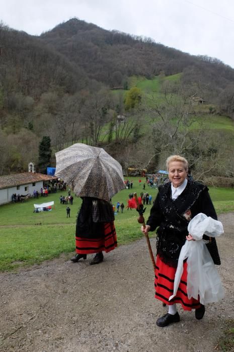 Romería en Piedracea, fiestas de la Flor de Lena