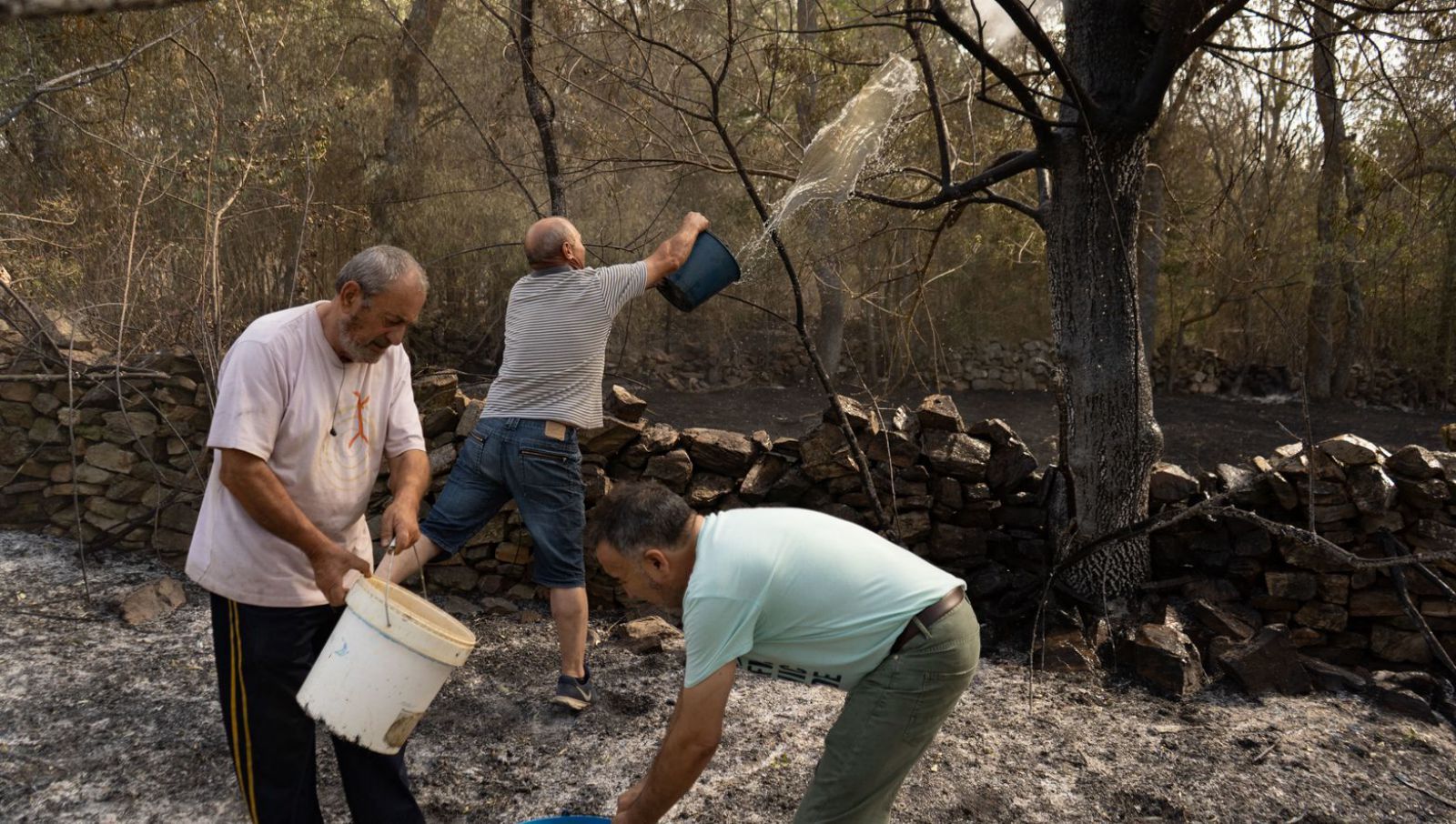 Vecinos de San Martín refrescan un árbol