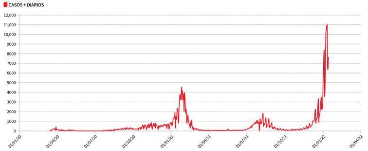 Gráfica: Casos diarios de coronavirus en Alicante desde el inicio de la pandemia