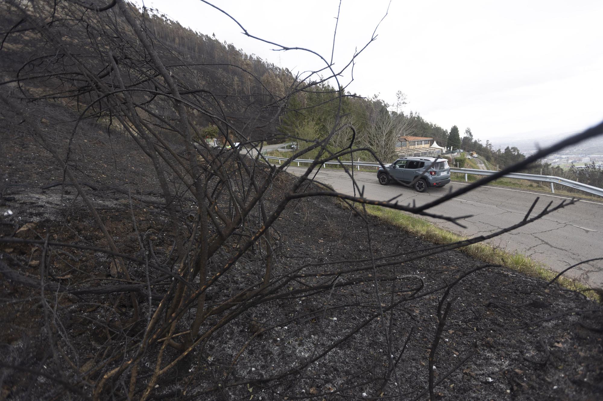 El aspecto del Naranco tras unos incendios históricos