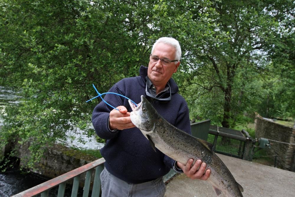 Primer día de la temporada de pesca del salmón