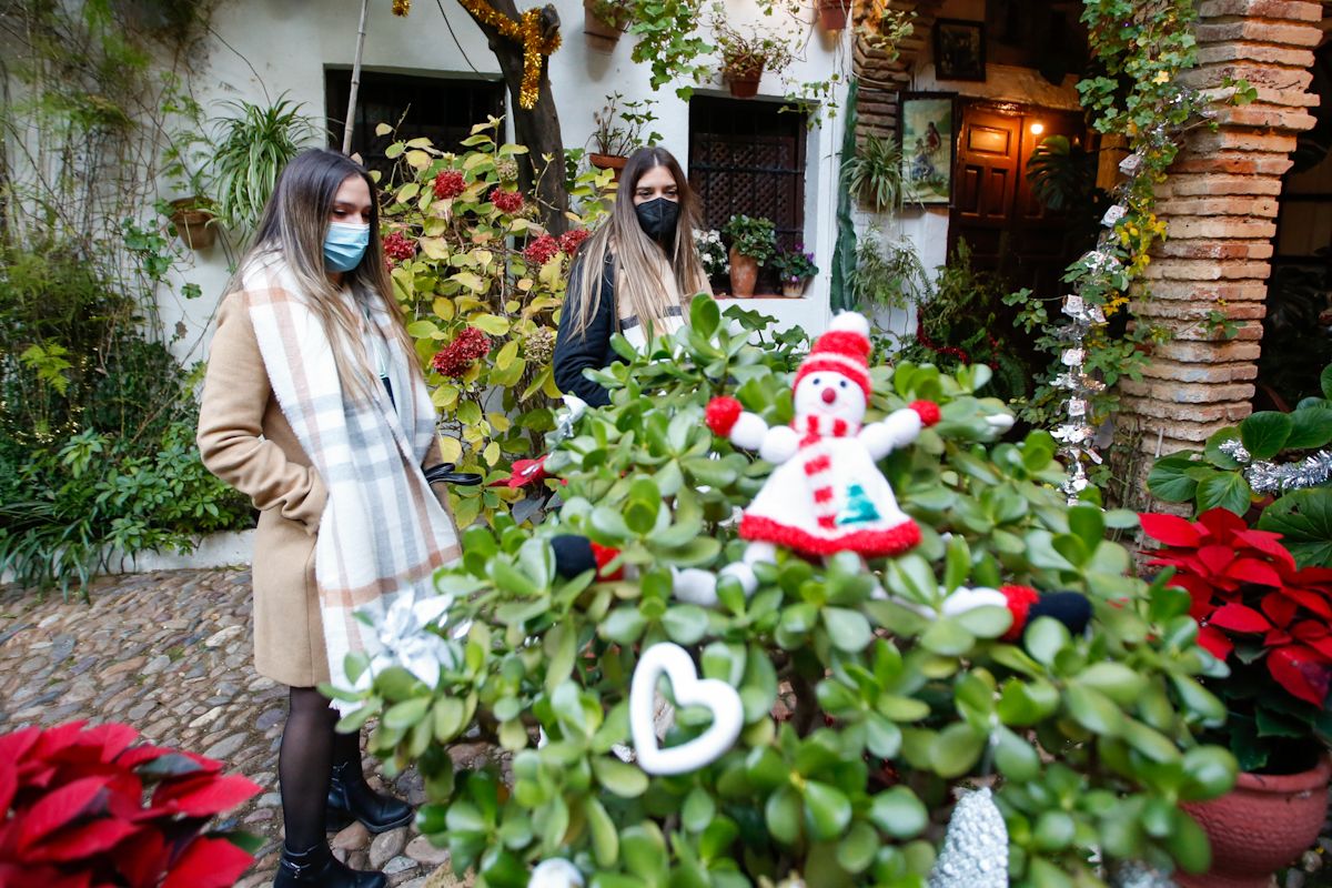 Los patios de Navidad derrochan brillo e ilusión en su día de apertura