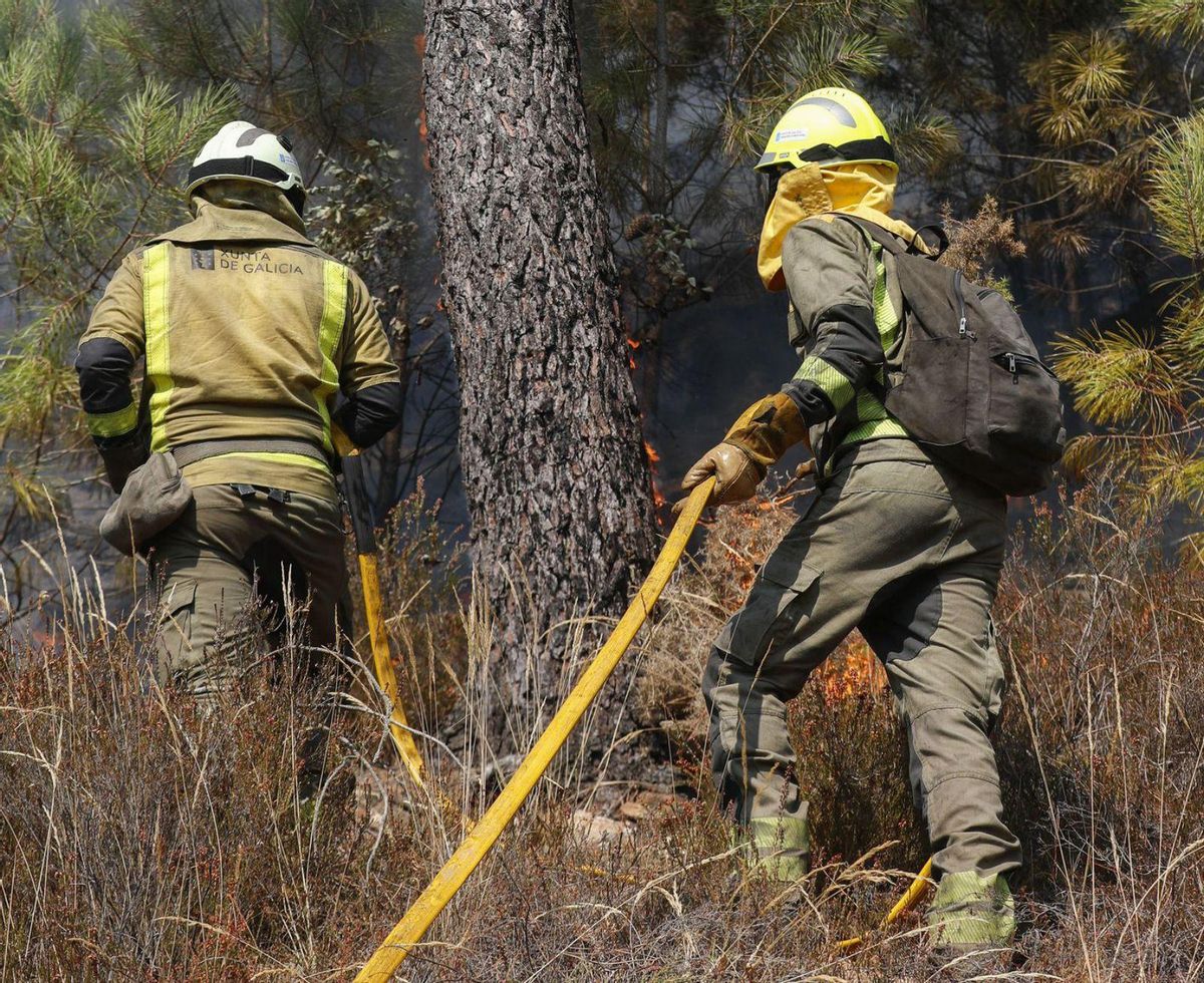 La gestió forestal, clau per evitar els incendis a Euskadi