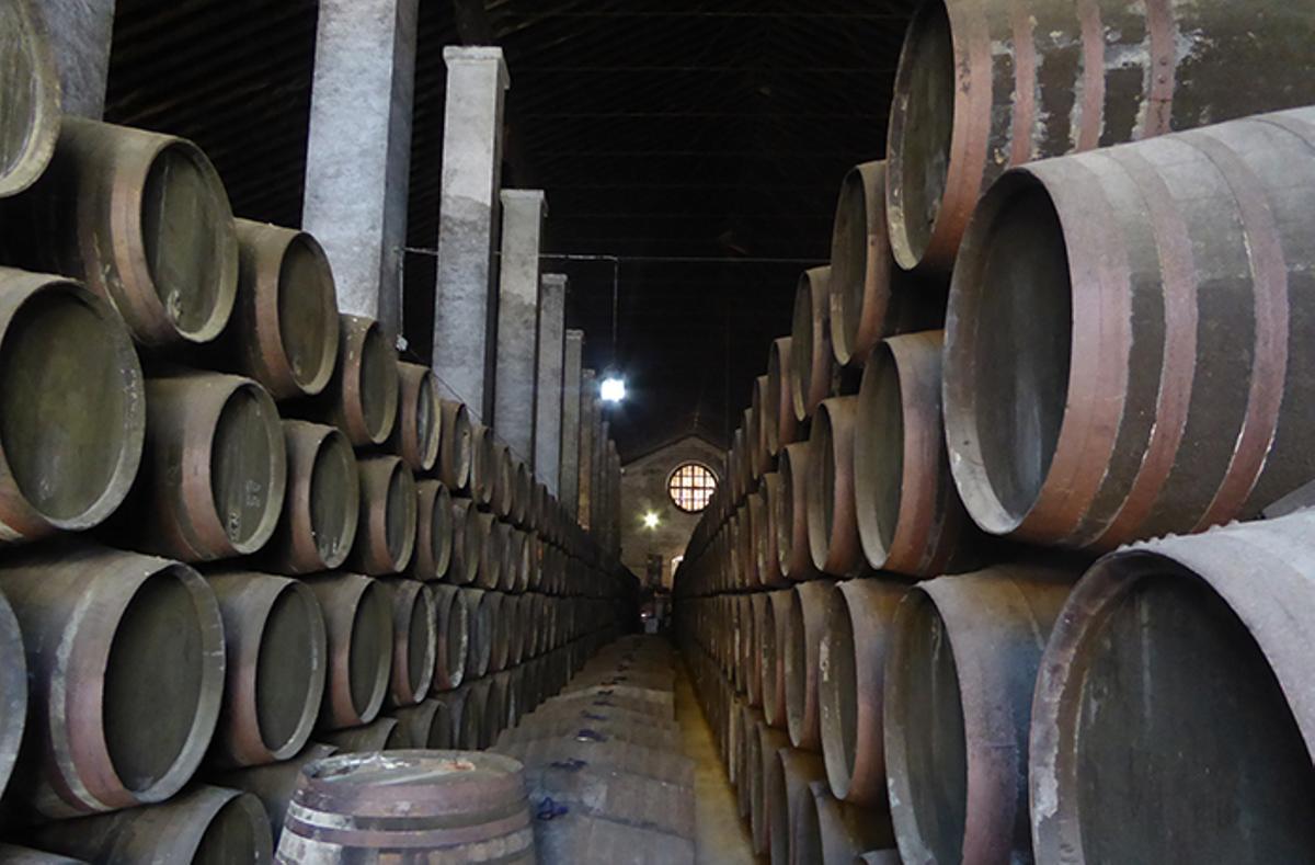 Interior de una bodega de vino