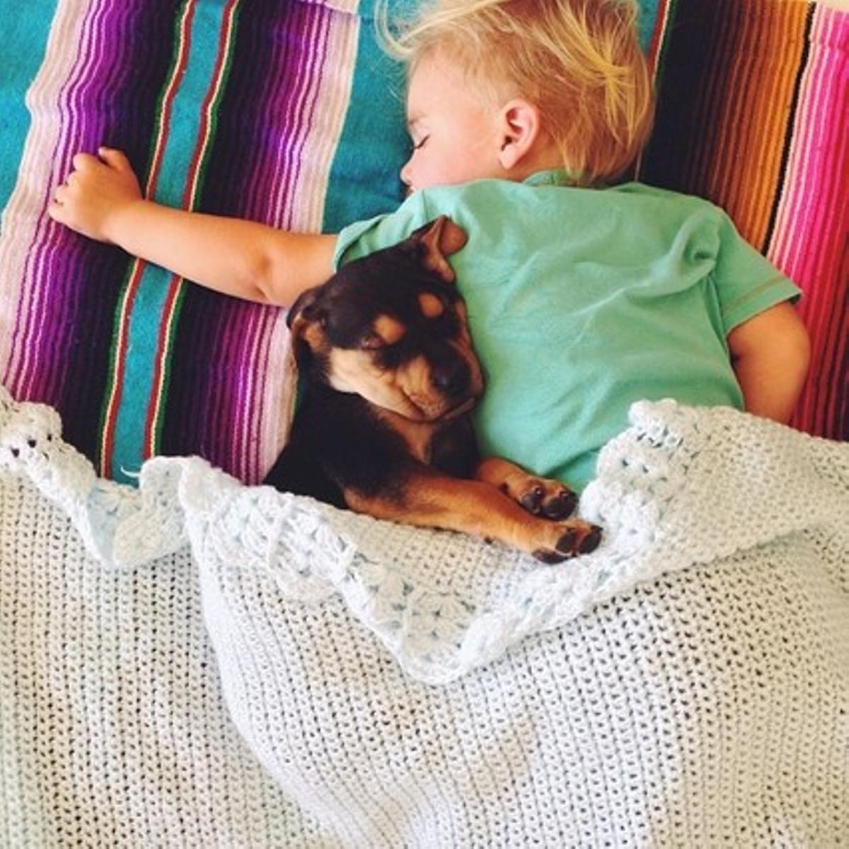 Beau, durmiendo junto a su perro, Theo