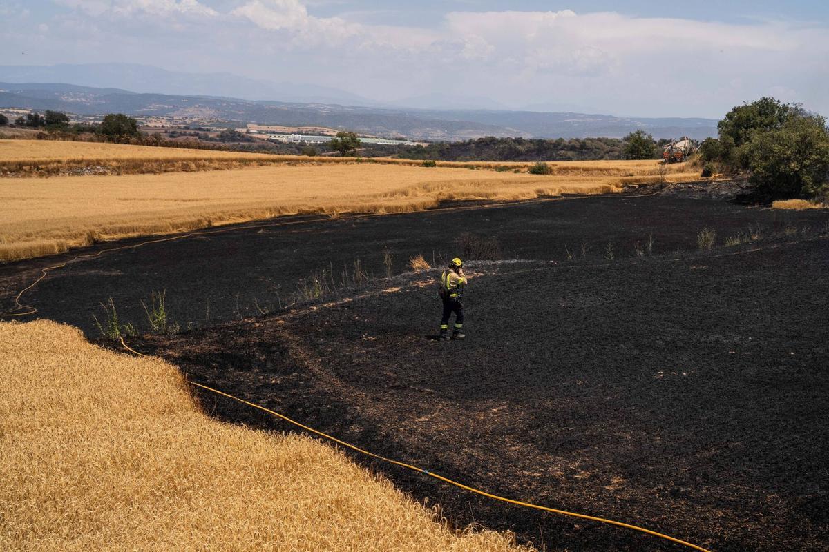 L’incendi de la Segarra canvia el paradigma: «Els paisatges en mosaic també poden cremar sense control»