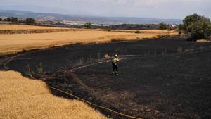 L’incendi de la Segarra canvia el paradigma: «Els paisatges en mosaic també poden cremar sense control»