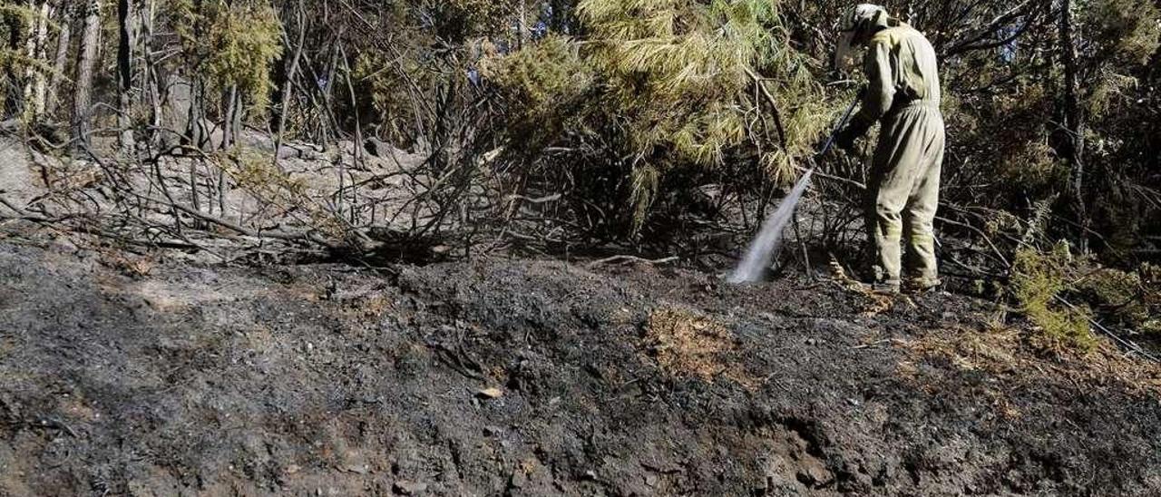 Un bombero riega la zona quemada durante la madrugada en Galegos. // Bernabé/Javier Lalín