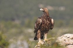 Un paseo por los cielos de Xixona