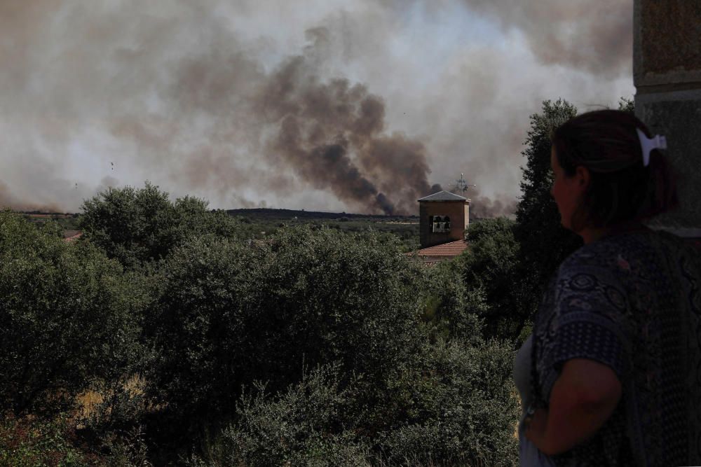 Incendio Pino del Oro y Castro de Alcañices