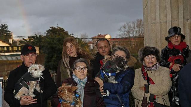 Monseñor Alberto Cuevas bendice a las mascotas, ayer, congregadas en la parroquia de La Soledad.   | // JOSÉ LORES