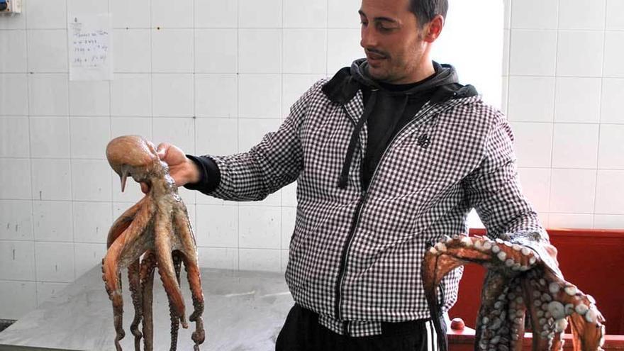 El pescador Ramón Istillarte, con dos pulpos, en Puerto de Vega, la pasada temporada.