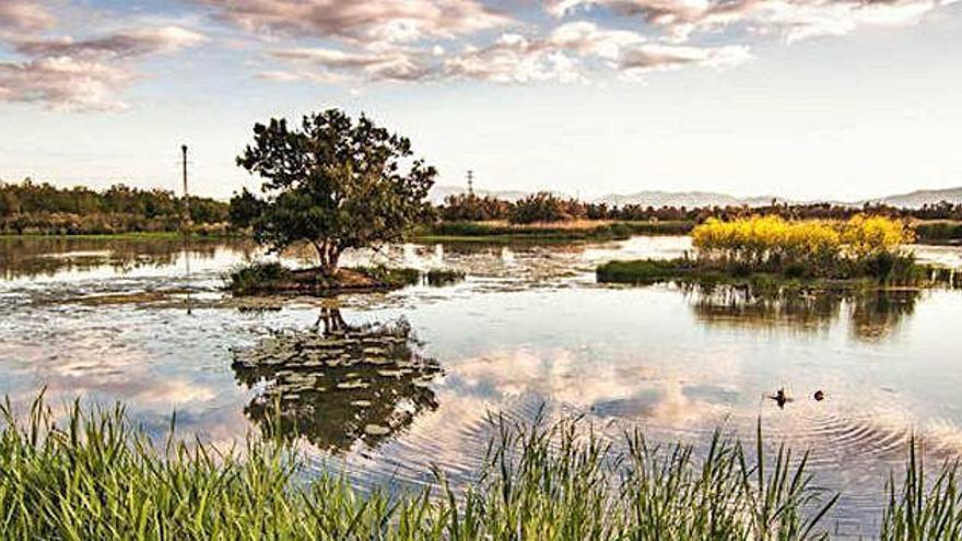 Els paisatges més verges de l&#039;Empordà