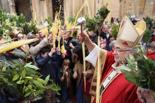 EN IMÁGENES: Bendición de Ramos en la Catedral de Oviedo