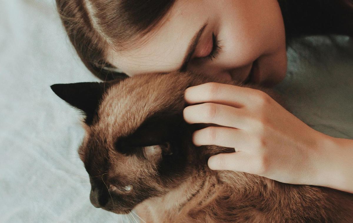 Mujer sin hijos y con gatos: el nuevo símbolo de protesta en EE. UU