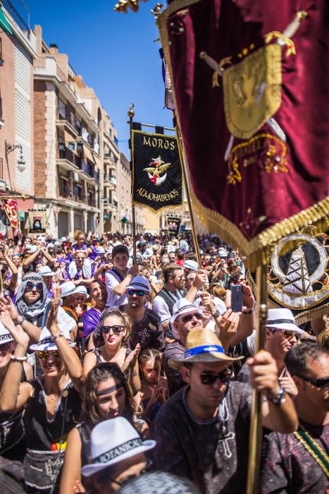 Pájaro Oriol en Orihuela