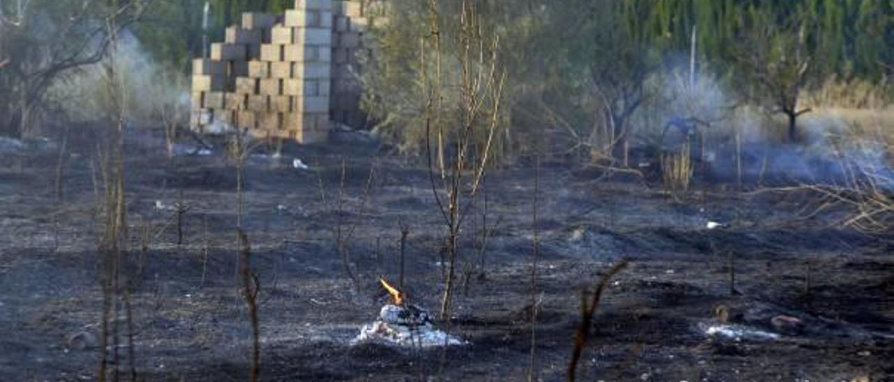 Un incendio quema  un campo abandonado en Rafelguaraf