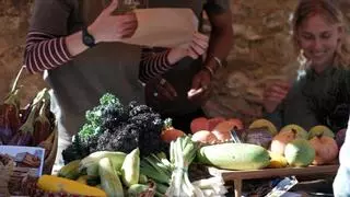 Marina Cardona, presidenta de los agricultores ecológicos de Ibiza y Formentera: «Nos sacamos una carrera, pero hemos apostado por trabajar en las tierras de nuestros antepasados»