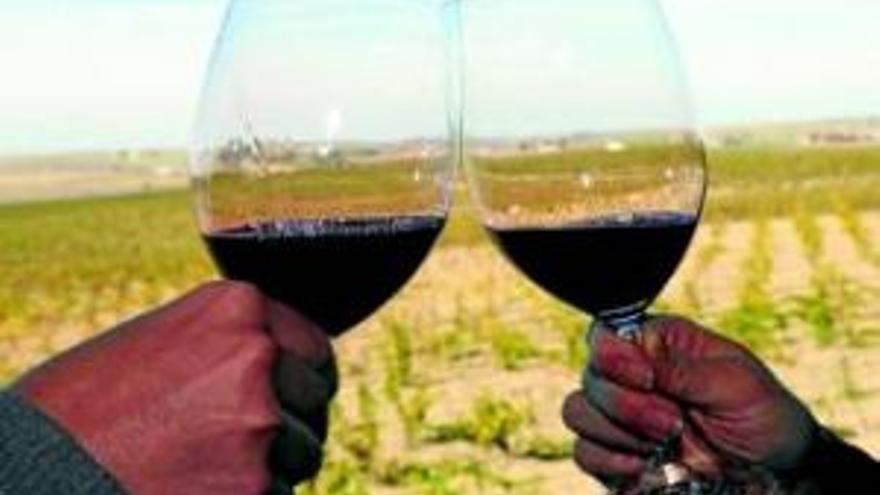Viticultores y bodegueros avalan la calidad del vino de este año