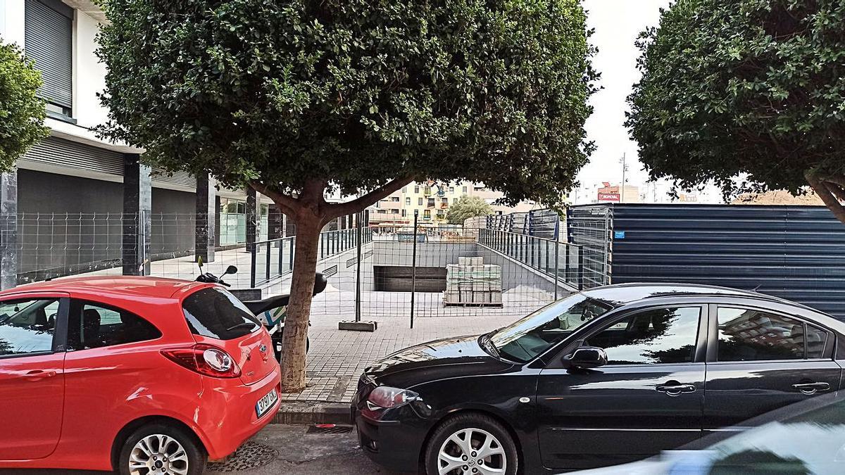 Árbol que bloquea la entrada al garaje de las 128 viviendas, en la Avenida San Antonio. | L-EMV