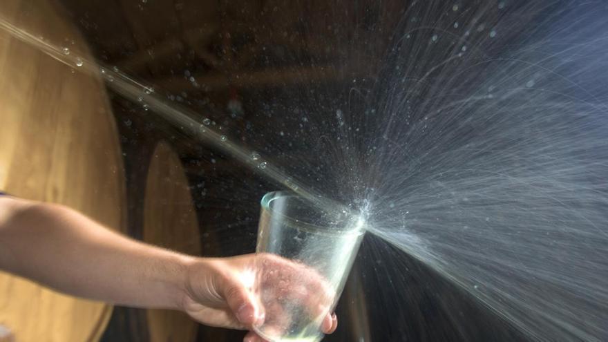 Los Óscar de la sidra asturiana: la DOP corona a los mejores "palos" del año y designa un embajador de resonancia internacional