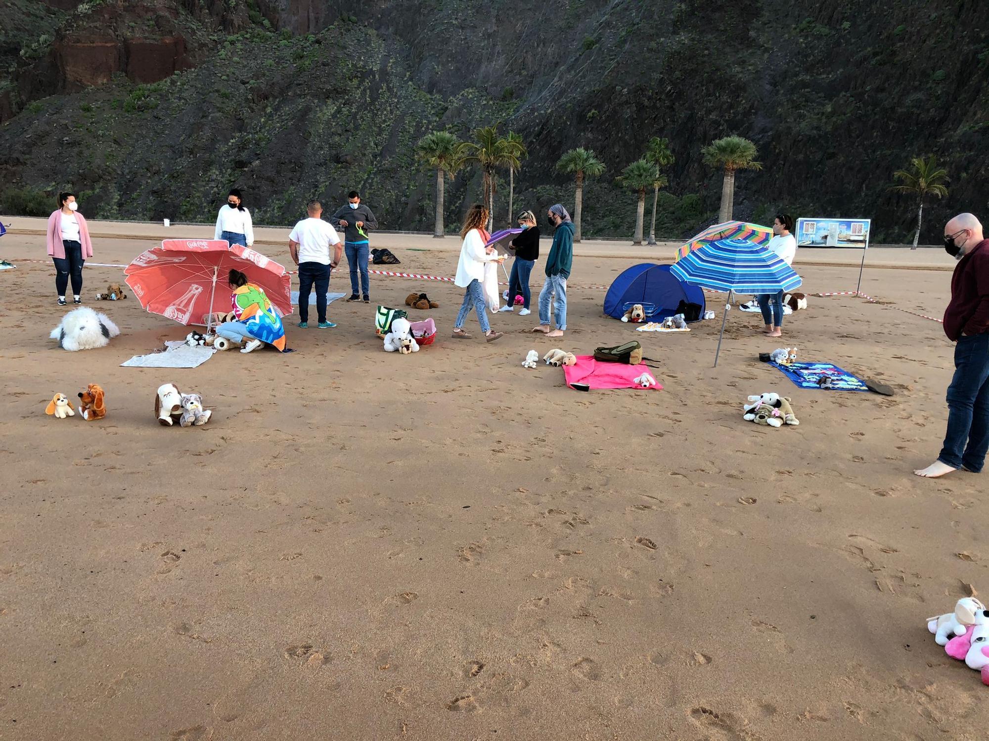 Acción pacífica en la playa de Las Teresitas en demanda de una zona para mascotas