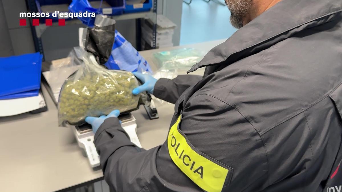 Ímagen de un mosso pesando droga intervenida