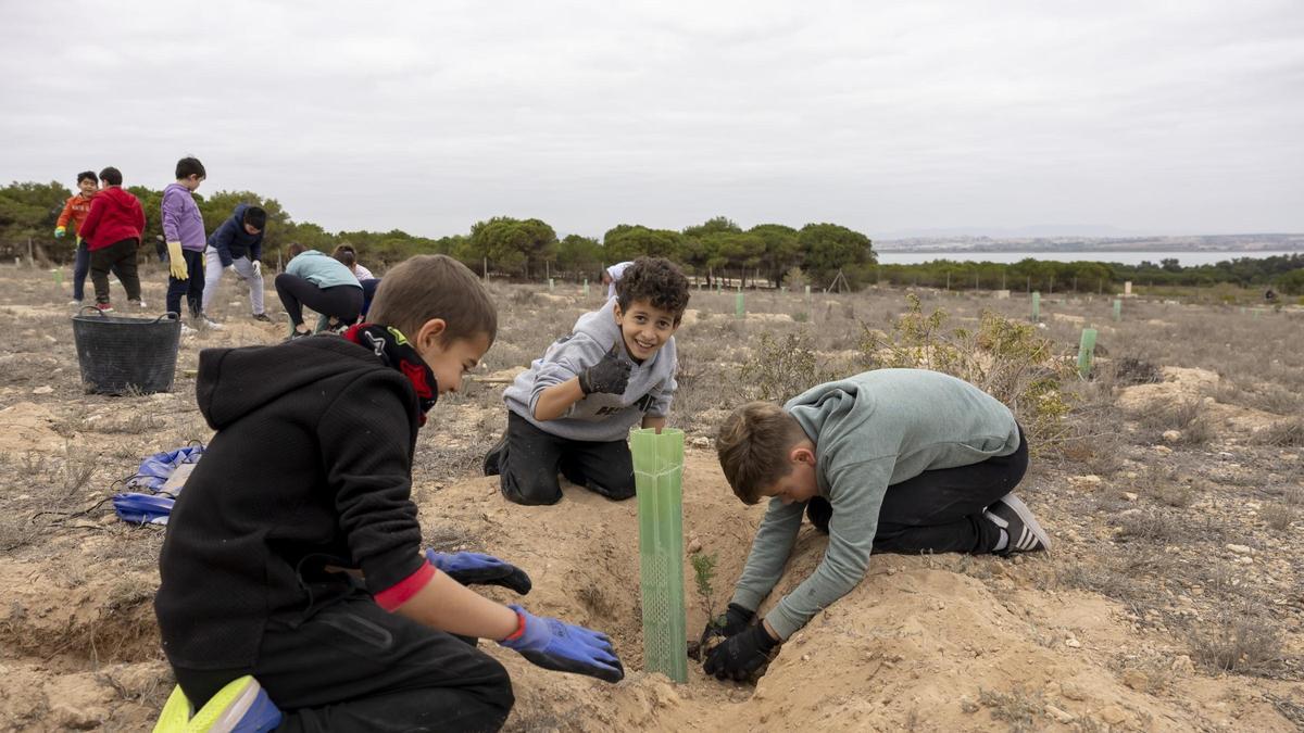 800 escolares se implican en la celebración del Día del Árbol con la plantación de especies autóctonas en torno a la laguna de La Mata de Torrevieja (2024)