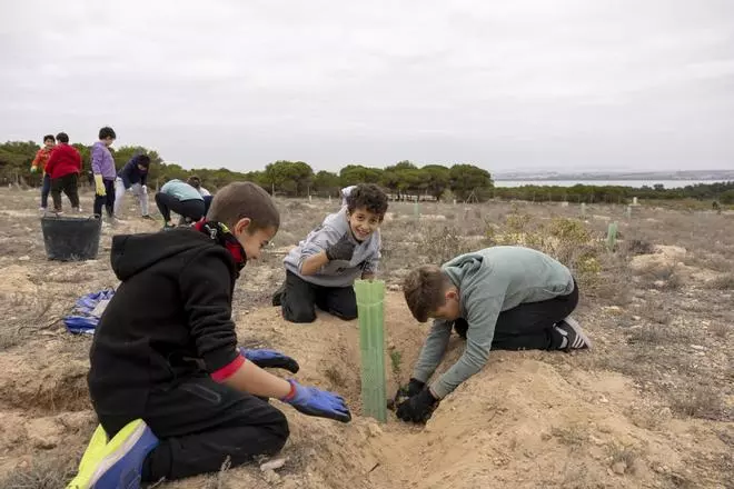 800 escolares se implican en la celebración del Día del Árbol con la plantación de especies autóctonas en torno a la laguna de La Mata de Torrevieja