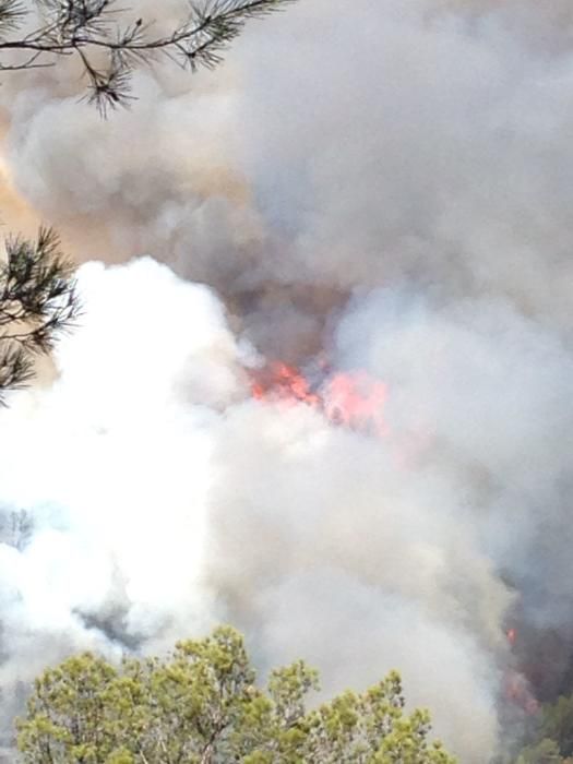 Incendi a Artés