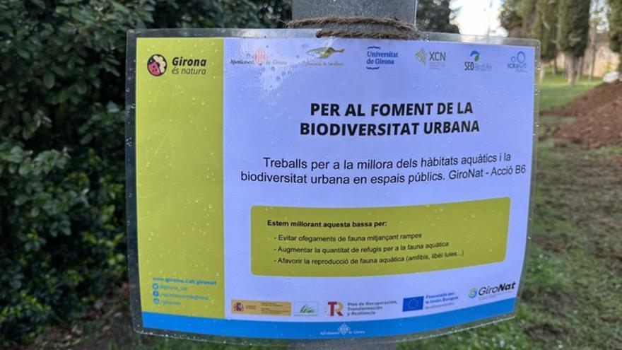 Queixes dels veïns del barri de Montilivi per una bassa artificial creada per l’Ajuntament