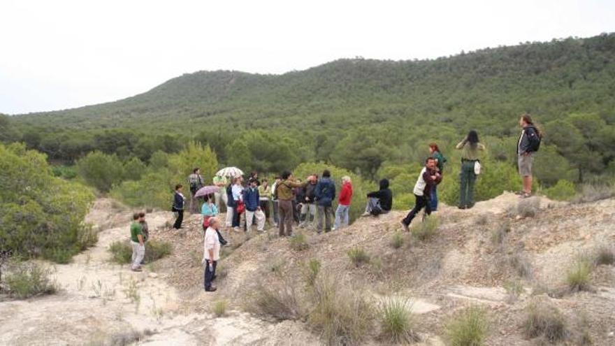 El Consell mantiene bloqueado el Parque Natural de Sierra Escalona