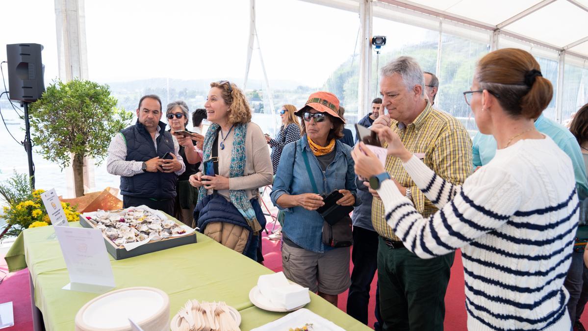 Visitantes en el festival de la ostra de Castropol
