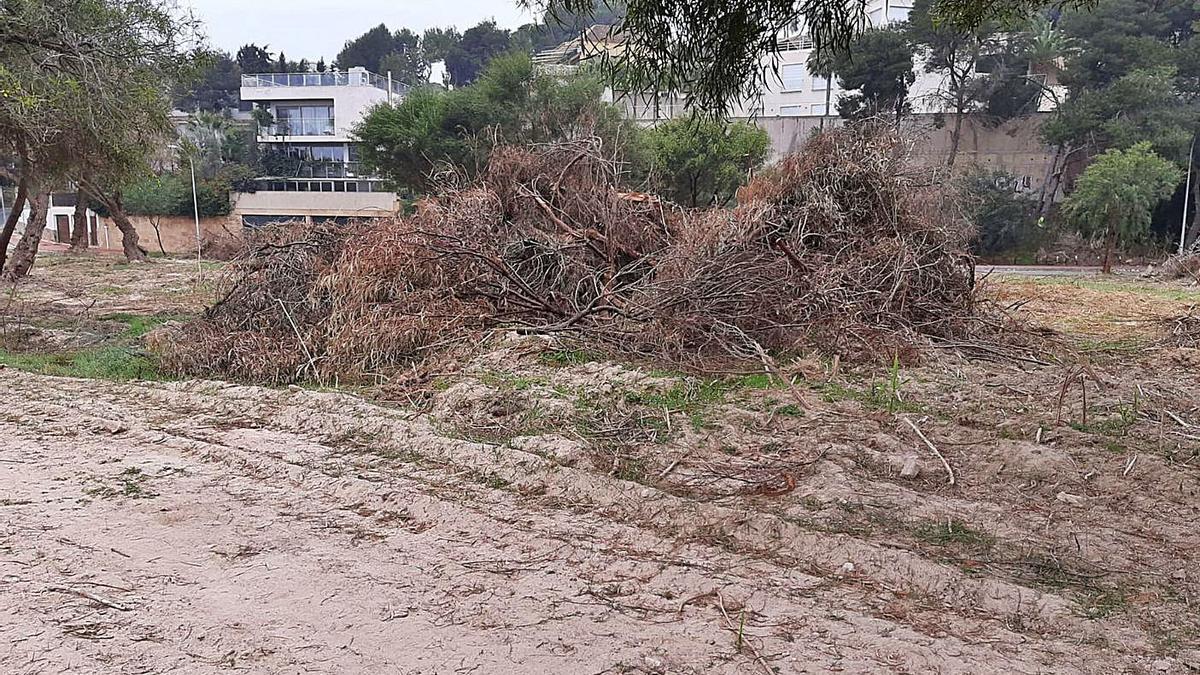 Podas y restos vegetales acumulados en la zona de dominio público hidráulico de la rambla del río Nacimiento en Campoamor, que el Ayuntamiento no ha retirado. | INFORMACIÓN