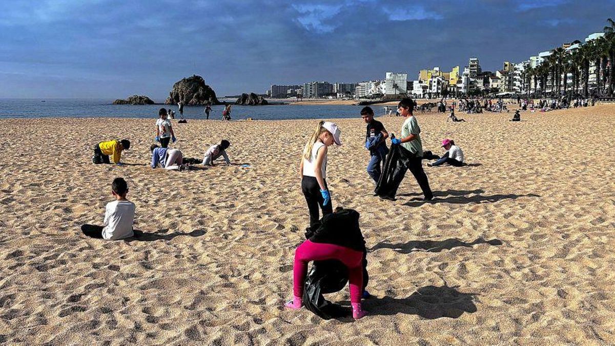 Els escolars retirant deixalles en una platja.