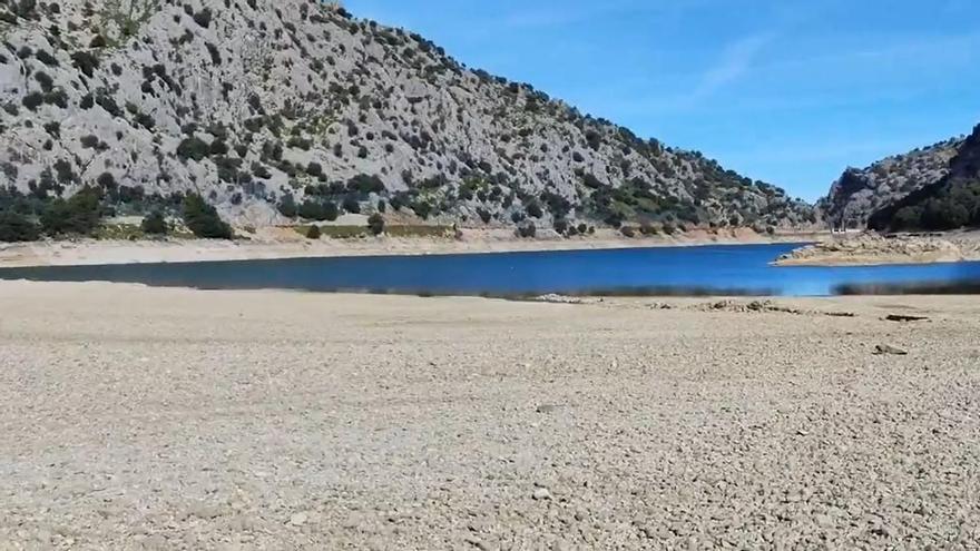 Der Stausee Gorg Blau auf Mallorca gleicht dieser Tage eher einem Tümpel