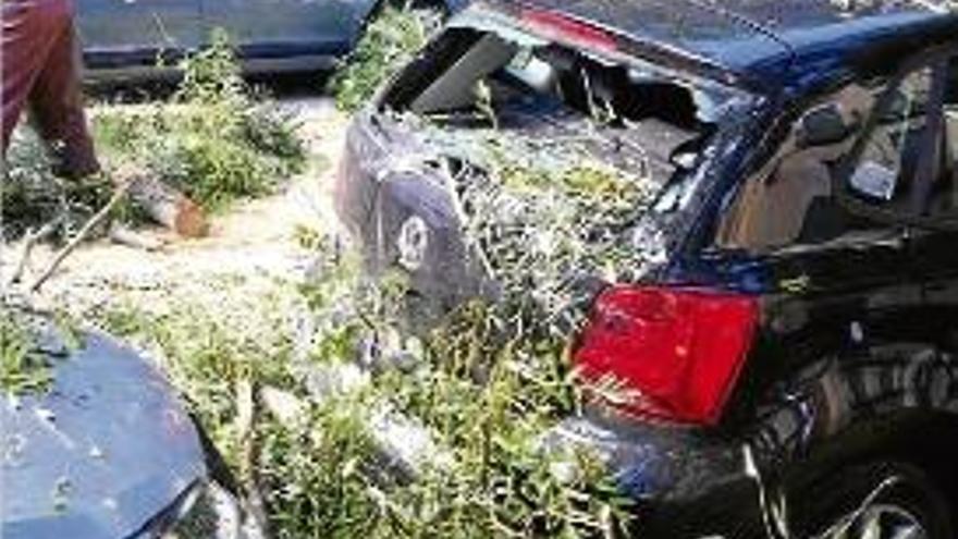 Bombers treballant per la caiguda d&#039;un arbre sobre de 3 cotxes a Girona.