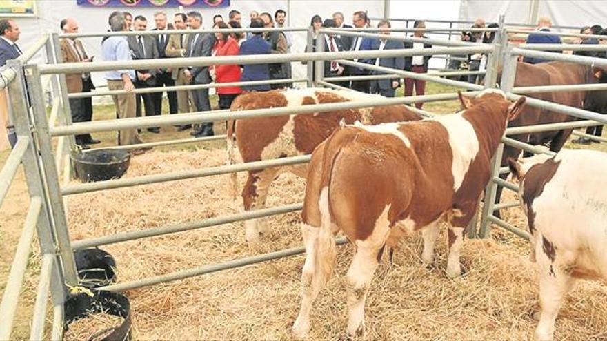 Inaugurada la XXV feria agroganadera