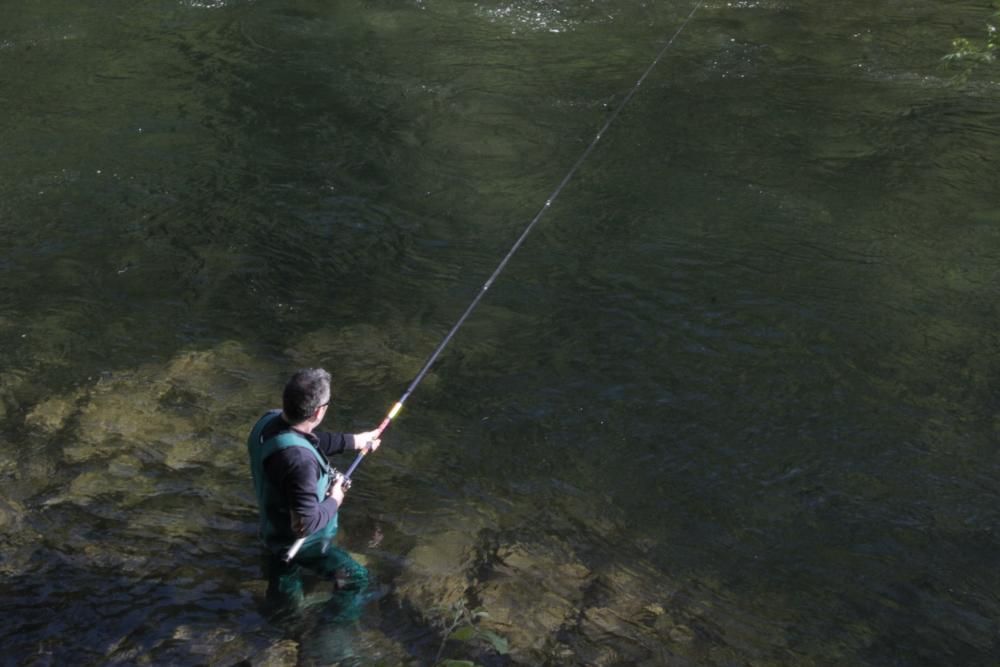 El salmón no pica en el Lérez