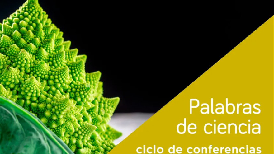 Hablamos sobre matemáticas y salud