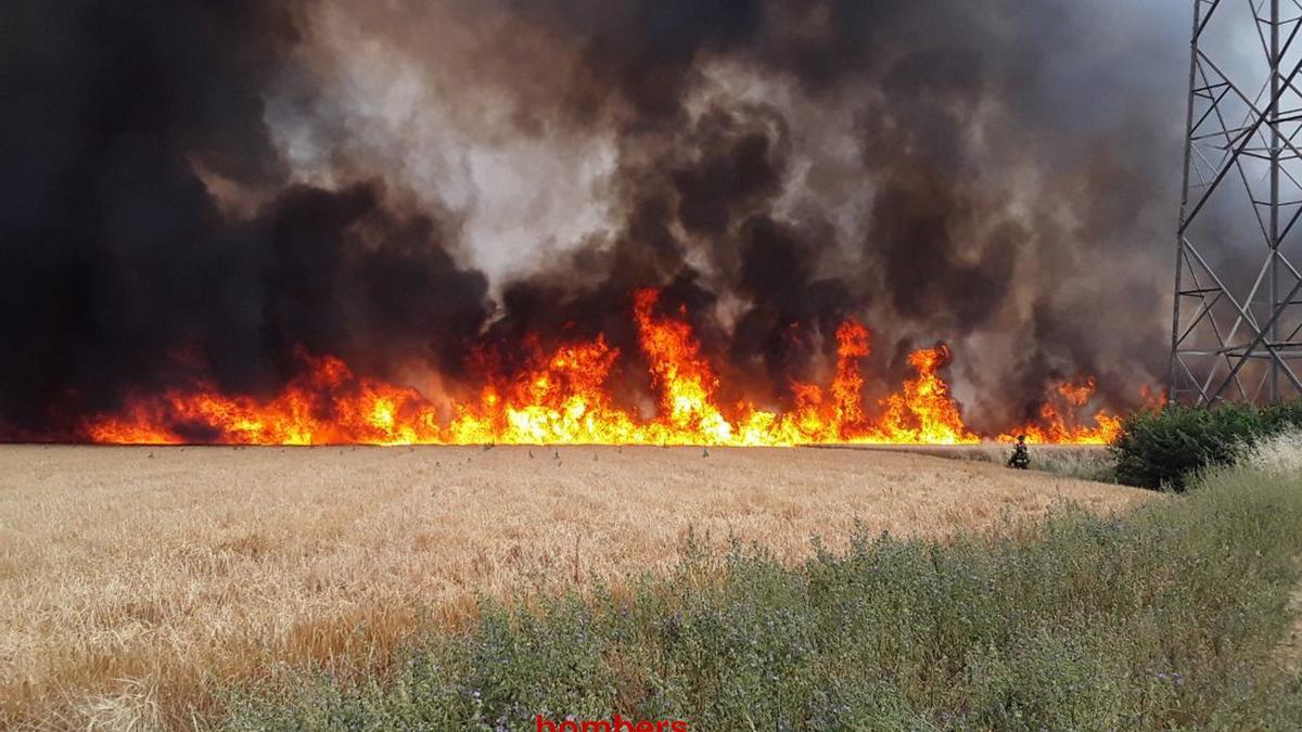 Les flames cremant un camp de cereals de Celrà