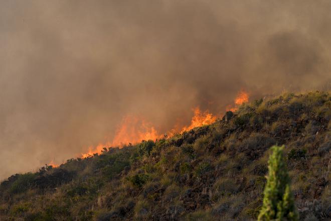 El incendio de Benahavís, en imágenes