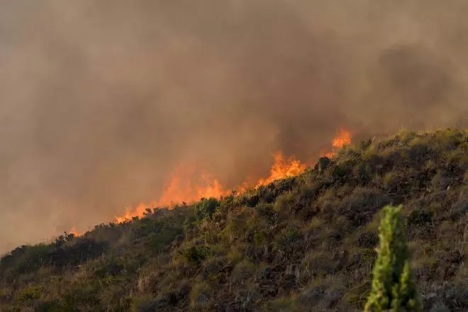 El incendio de Benahavís, en imágenes