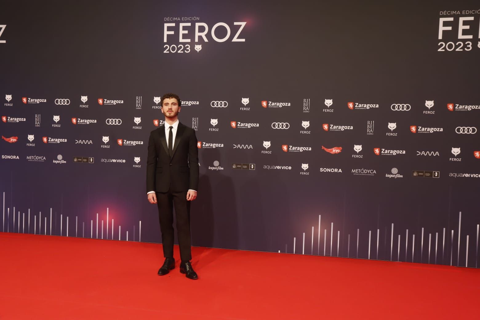 Alfombra roja de los Premios Feroz