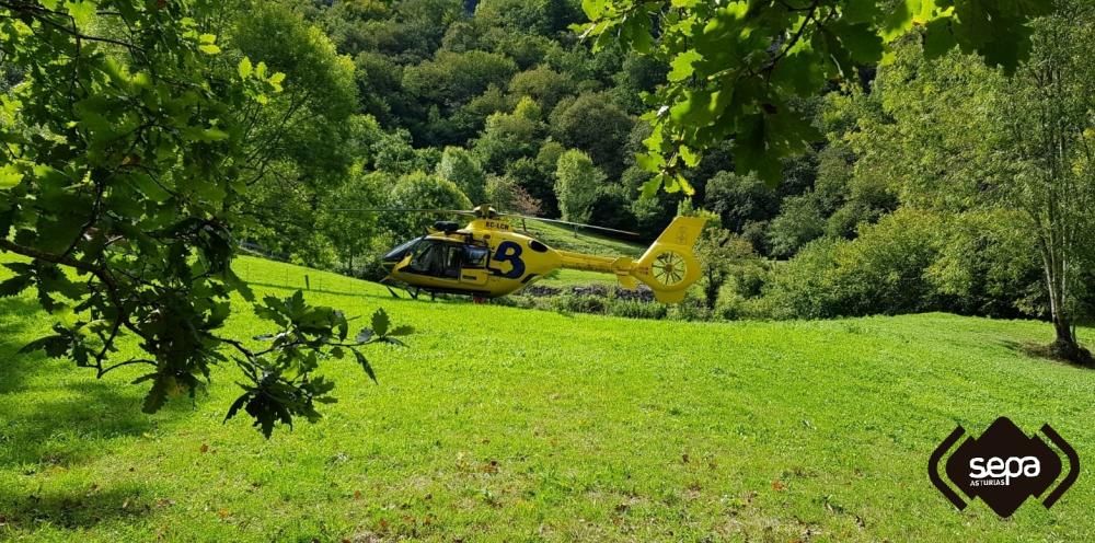 Rescatada una mujer herida en Amieva