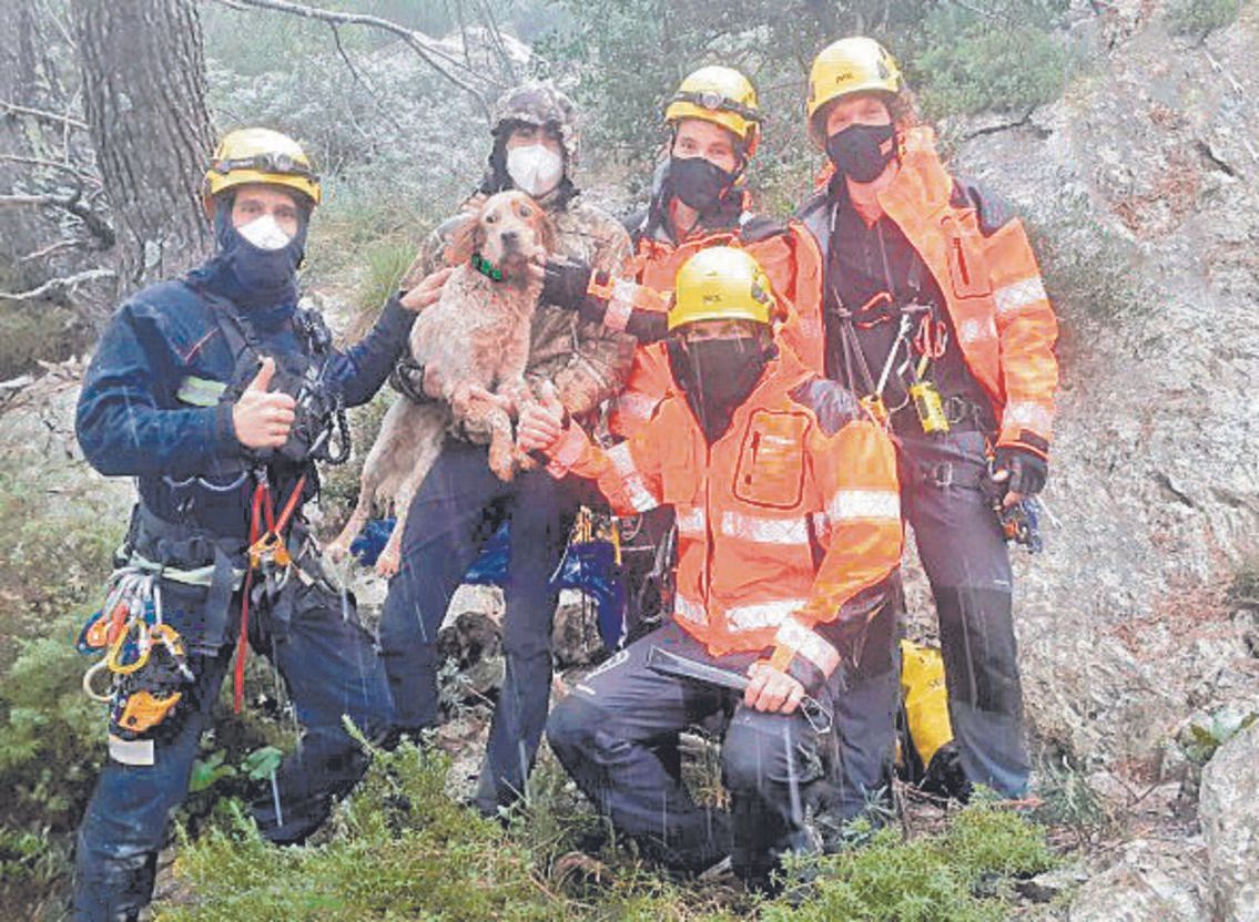 Rescate de dos perros caídos en un pozo en la Serra y en un torrente de Fornalutx.