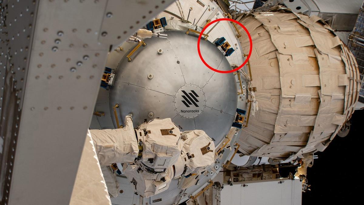 SEAQUE (dentro del círculo rojo) estará alojado en la Estación Espacial Internacional por la esclusa de aire.