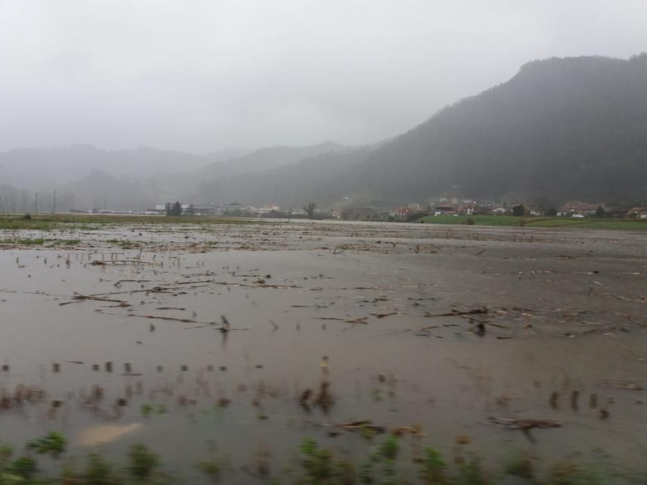 Tiempo en Asturias: Las espectaculares imágenes de las riadas, argayos e incidencias del temporal